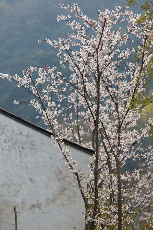 Pusen Lanting Shaoxing Hotel Buitenkant foto